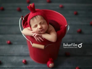 yalda-cover1