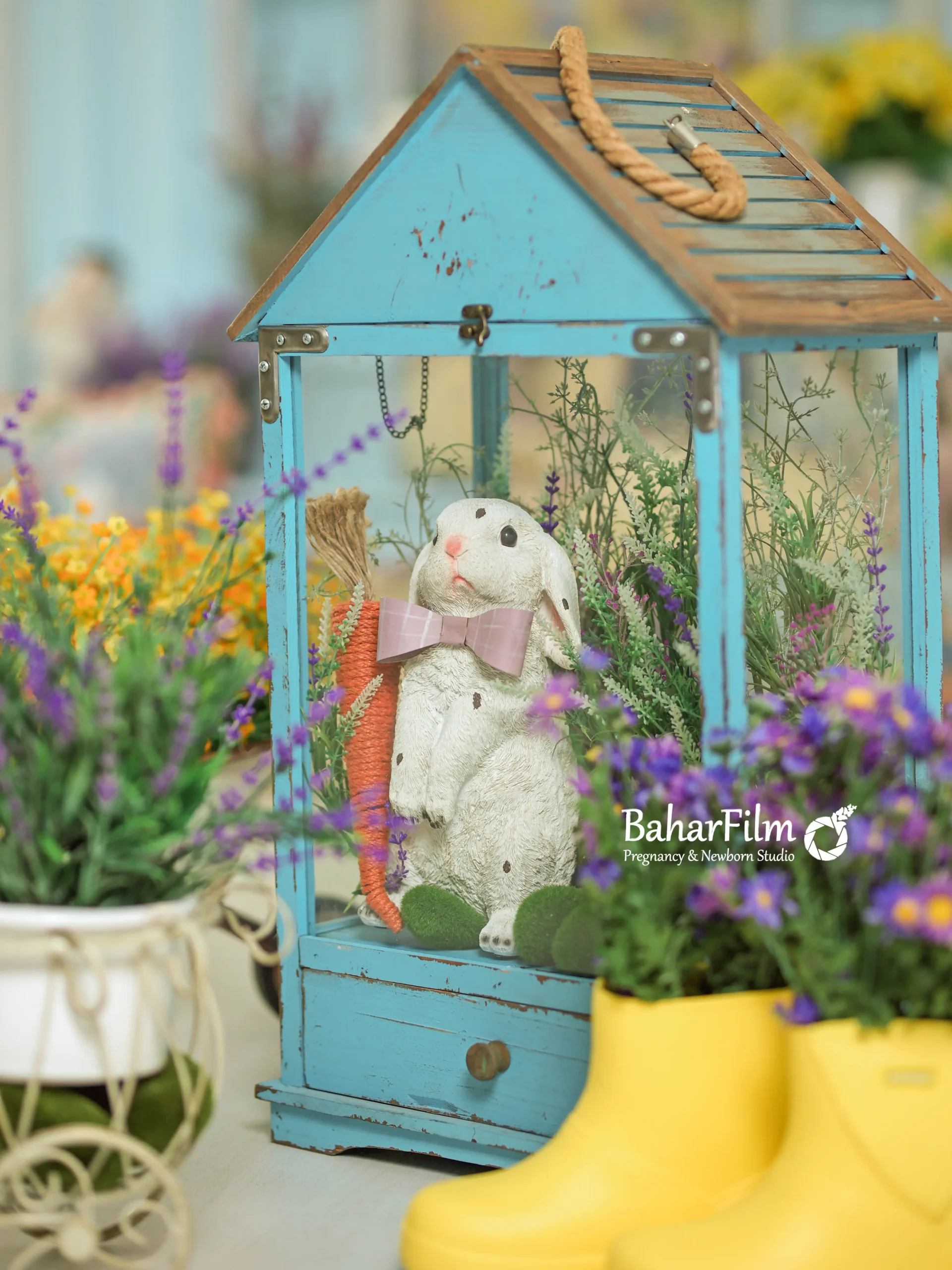 دکور بهار خرگوشی